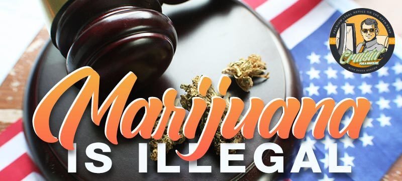 Cruisin’ For A Bruce-in’: Marijuana is Illegal Cruisin’ For A Bruce-in’: Marijuana is Illegal