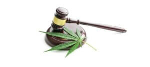 Understanding Florida Marijuana Laws and Your Rights