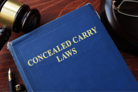 Concealed carry laws in Florida book