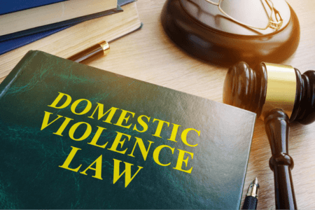 Book of domestic violence laws