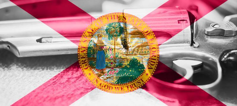 Florida state flag overlayed on a handgun