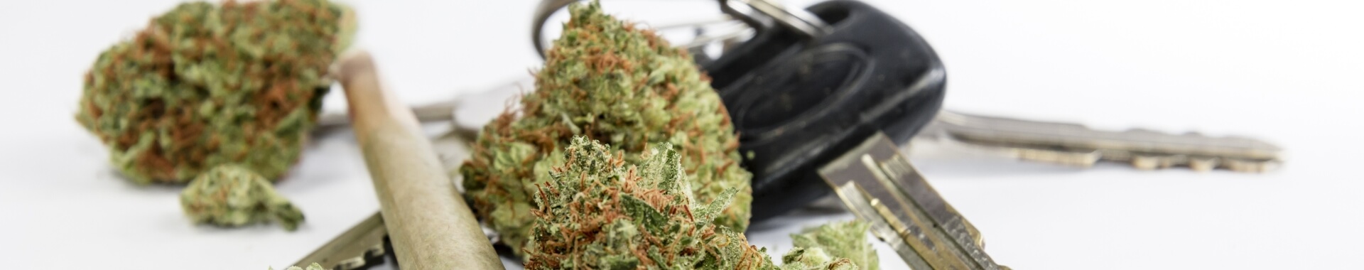 cannabis on a table with car keys